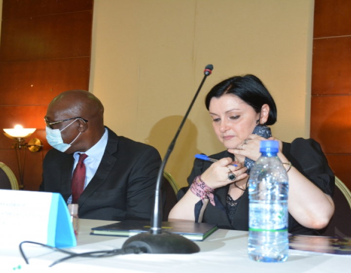 L’Union Européenne et le PNUD se réengagent aux cotés de la CPS.